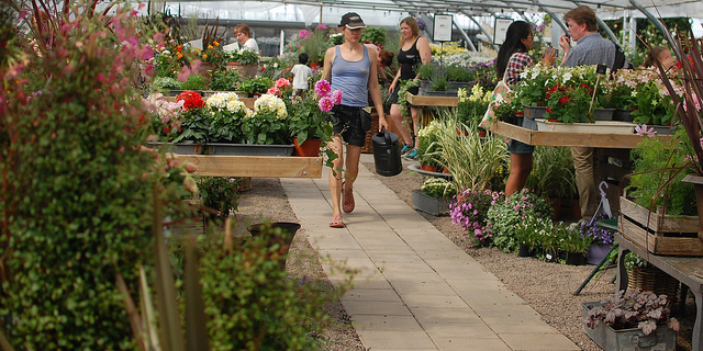 Customers Browsing a Swedish Nursery