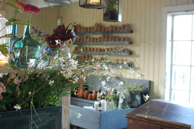 Wildflowers on Display at Terrain