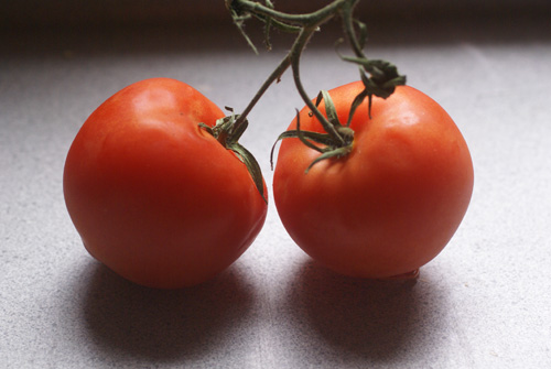 two ripe tomatoes