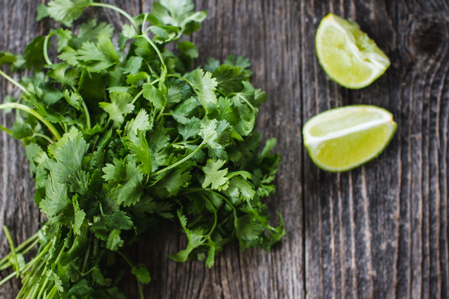 Cilantro and Lime