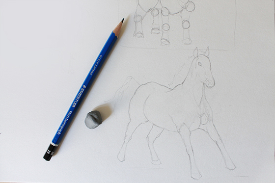 Horse's figure and facial features