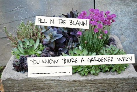 Fill in the blank: You know you're a gardener when...