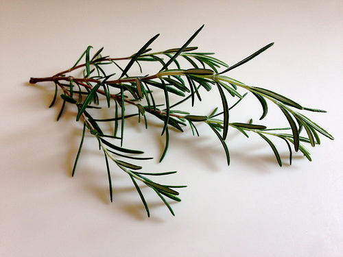 sprig of rosemary