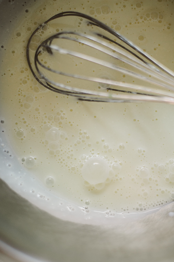 The ice cream base