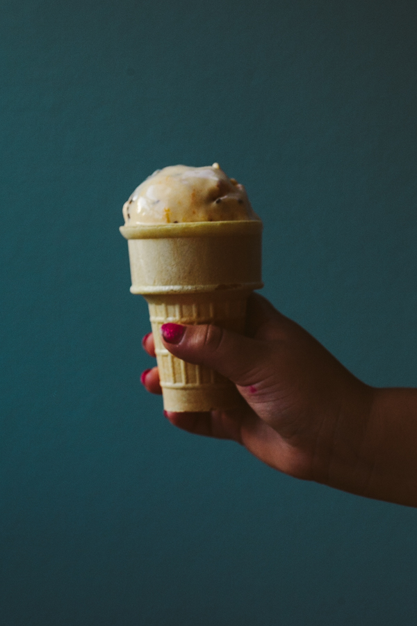 Roasted Apricot and Bittersweet Chocolate Ice Cream
