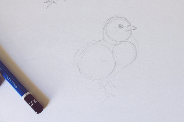 Chick drawing shape