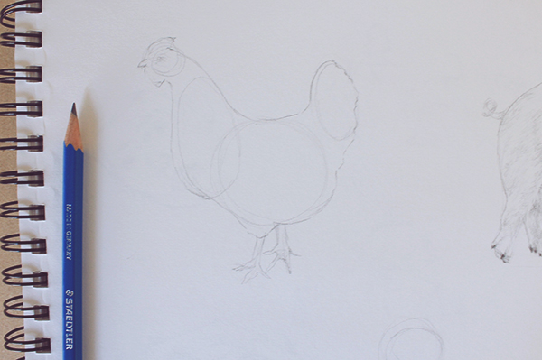 Drawing hen shape