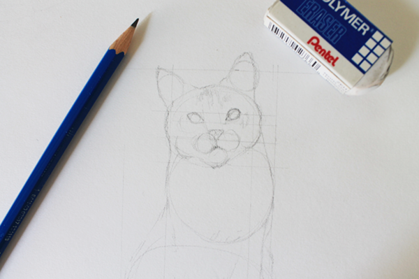 Draw the features of a cat's face