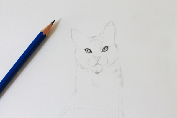 how to draw a cat easy realistic