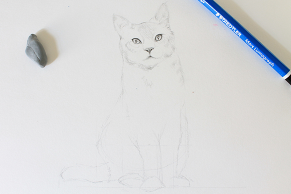 Beginner Realistic Cat Drawing Easy - Goimages Fun