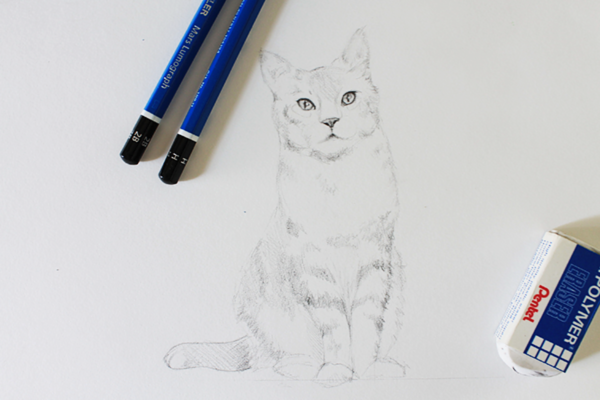 how to draw a cat easy realistic