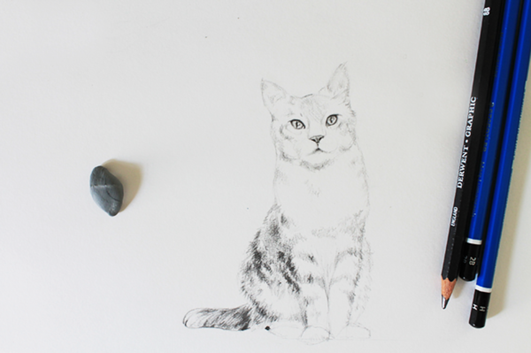 realistic cat face drawings