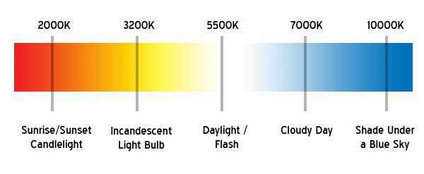 color temp