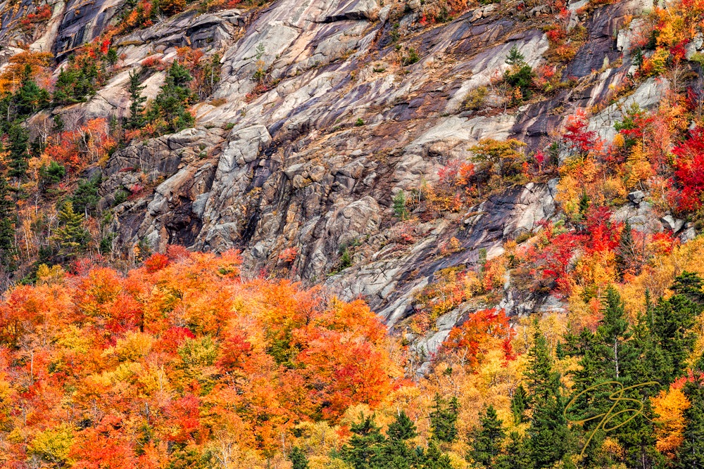 Warm fall color against cool hard granite.