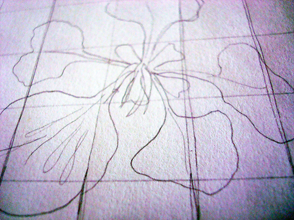 Pencil sketch of a flower on grid