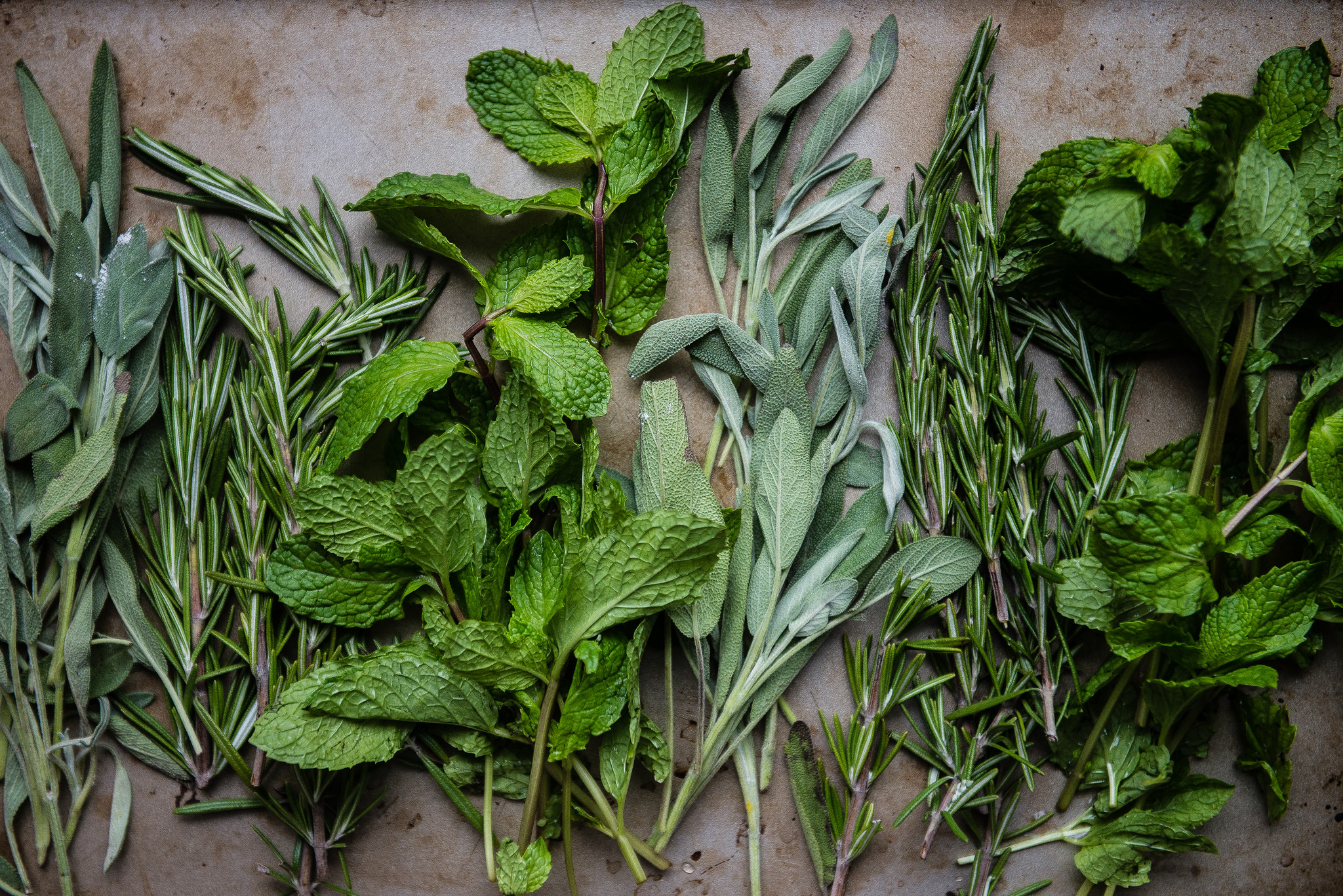 Fresh herbs on Bluprint!