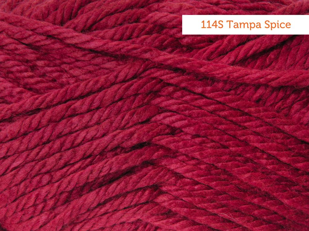 Lion Brand Hometown USA Yarn in Tampa Spice