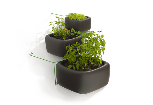 Vertical planter