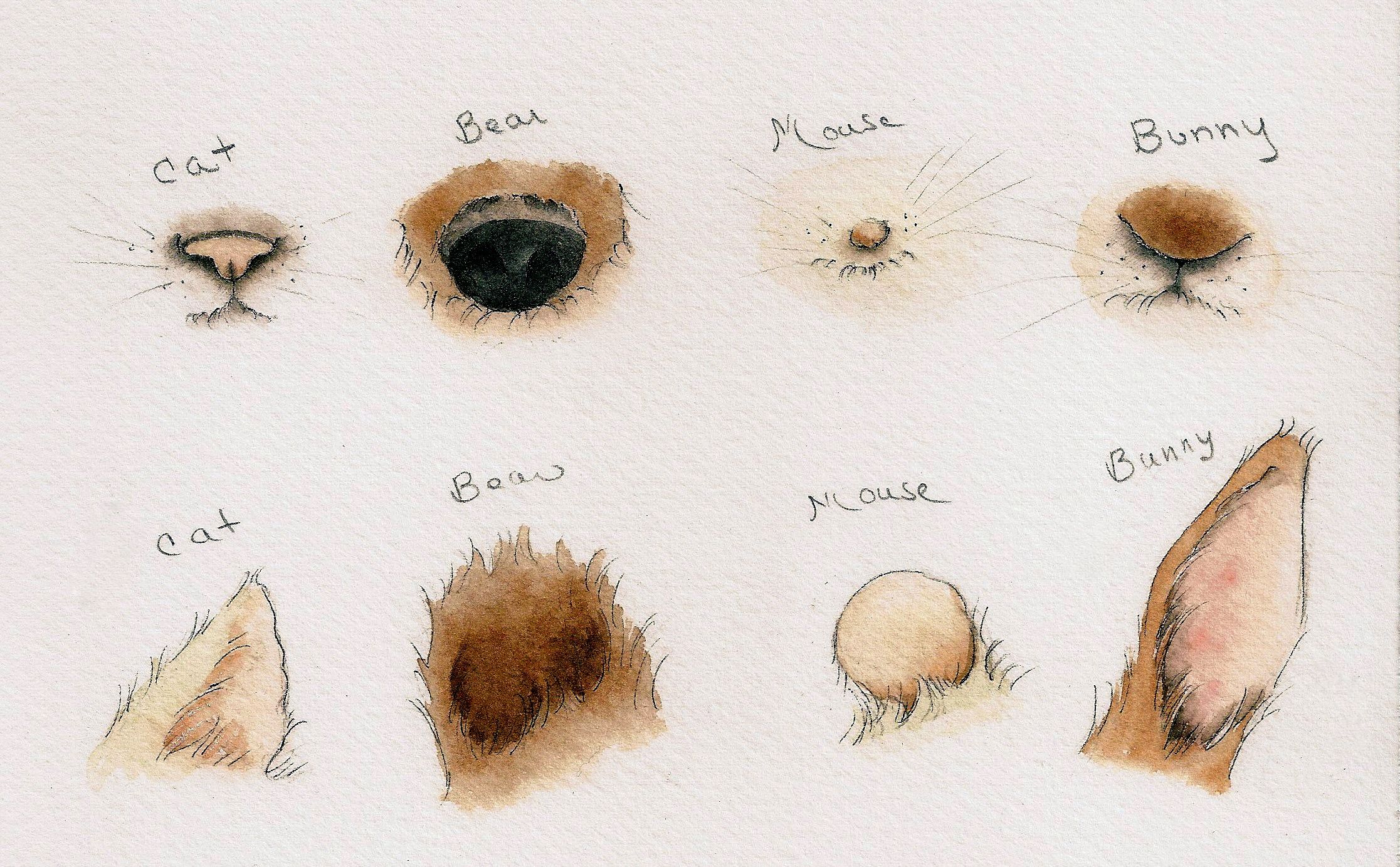 How To Draw Animal Faces With Distinct Ears And Noses You don't need any reference and you can use any tools you want. draw animal faces with distinct ears