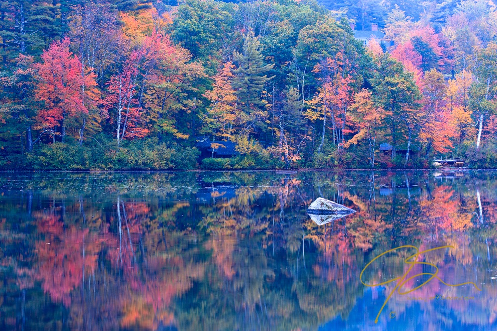 Cabins On The Lake