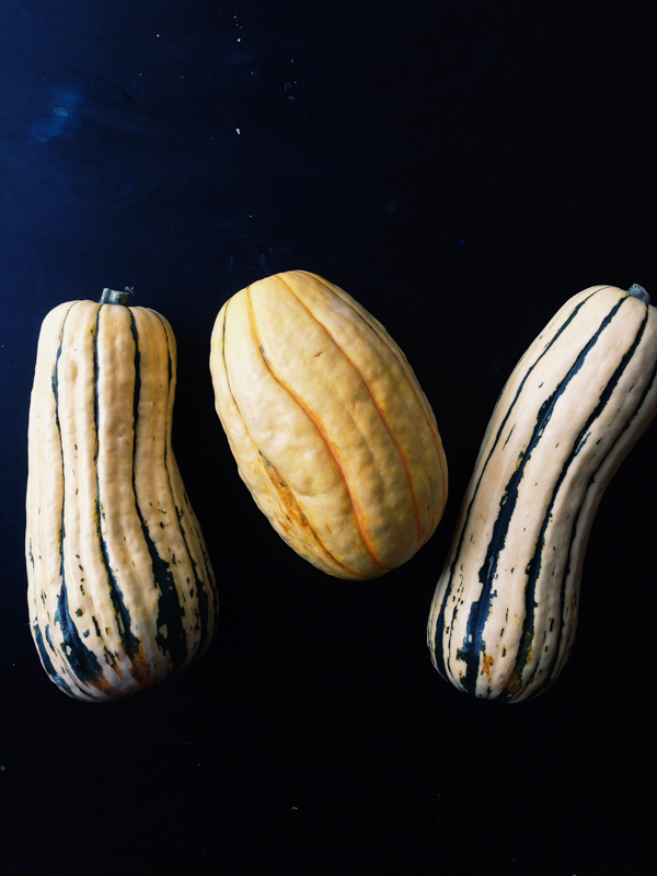 Delicata Squash