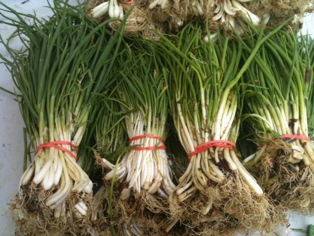 Green shallots