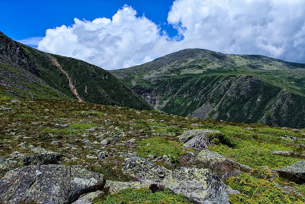 Overlooking Tuckerman