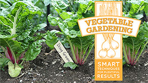 Vegetable Gardening Bluprint Class