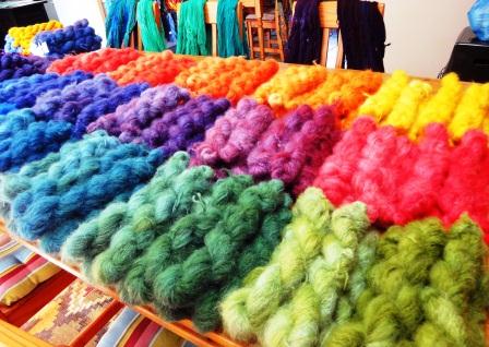 Dana Biddle's ColourSpun Yarns