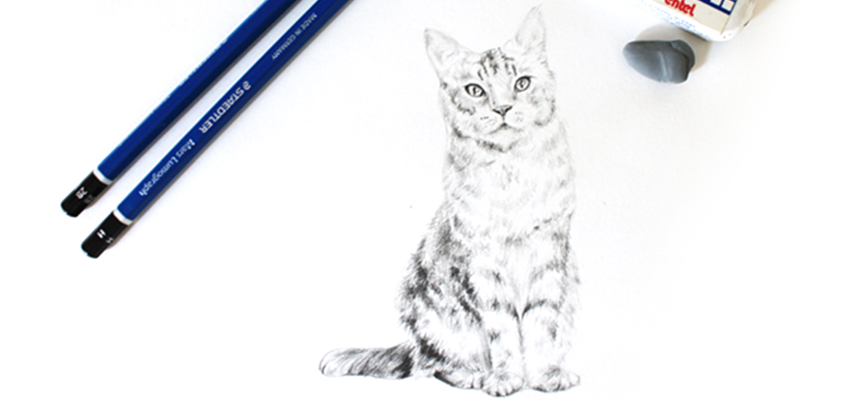 Learning to draw a cat!