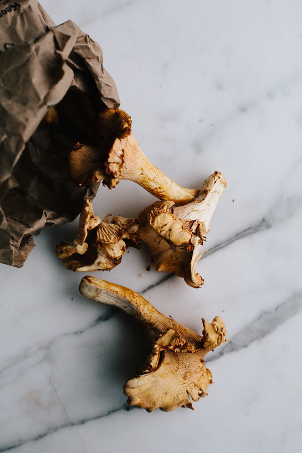 Fresh Chanterelle Mushrooms