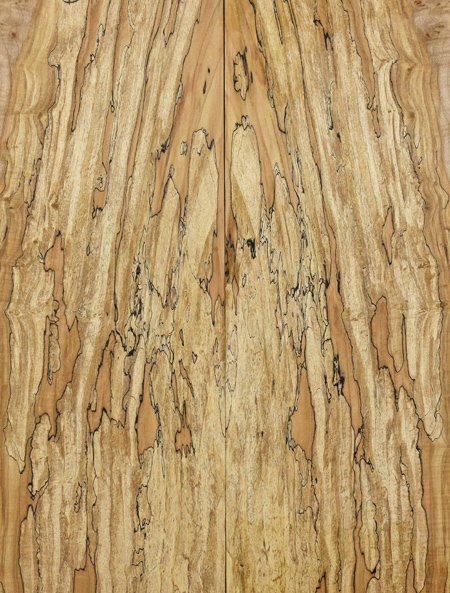 spalted wood