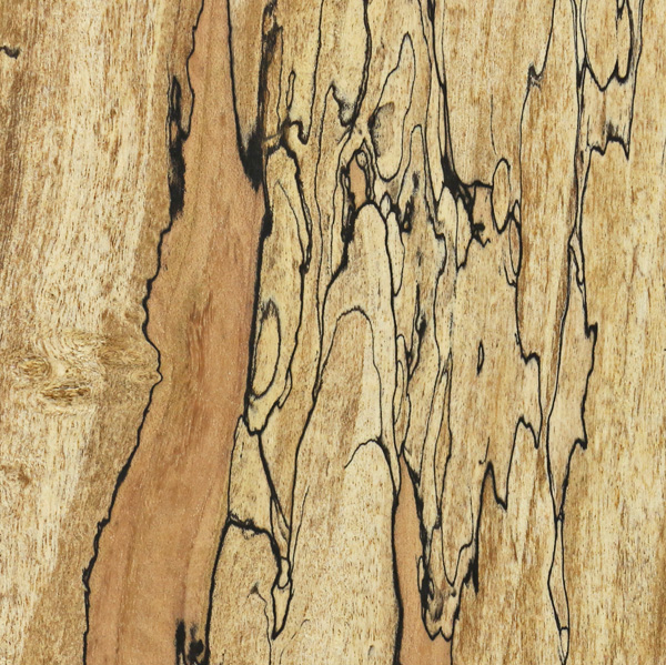 spalted maple