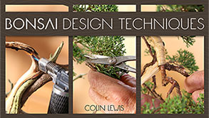 Title Image for Bonsai Design Techniques Bluprint Class