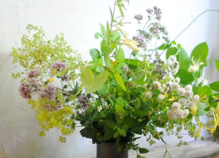 fresh herbal arrangement with oregano