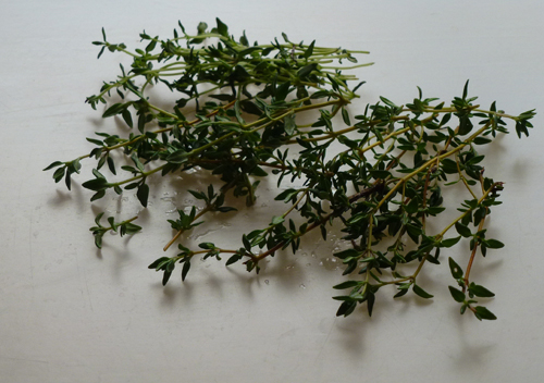 Harvested thyme to enjoy in kitchen