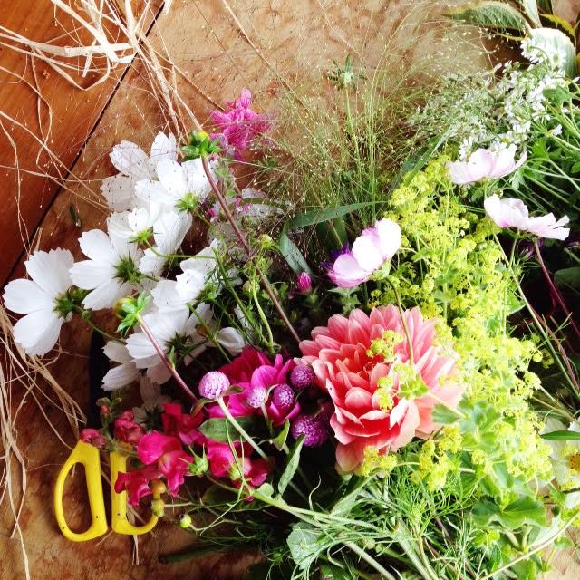 Fresh Cut Flowers for a Bouquet