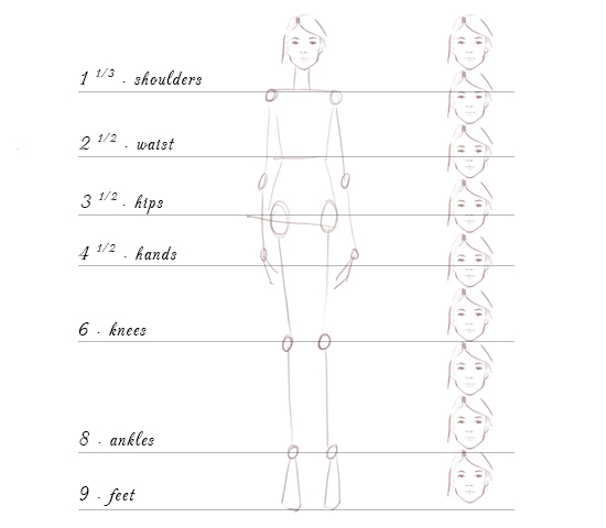 Fashion Figure Guide 