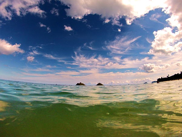 Shot from the water!