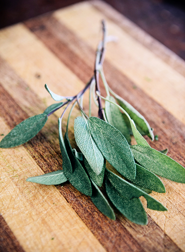 How To Chop Fresh Herbs-7