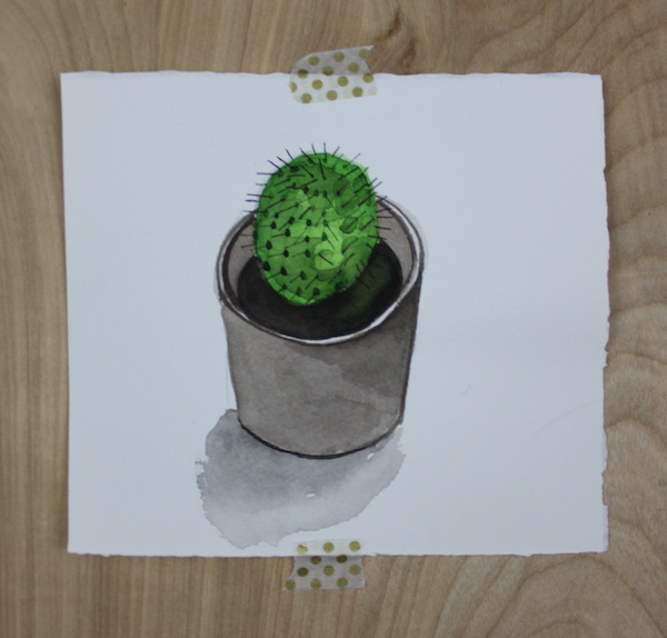 cactus with lines