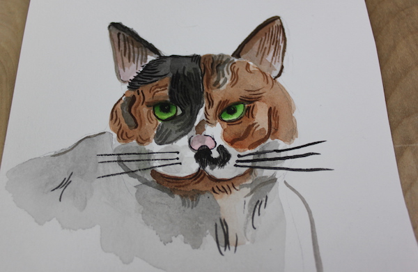 detail of cat with lines 