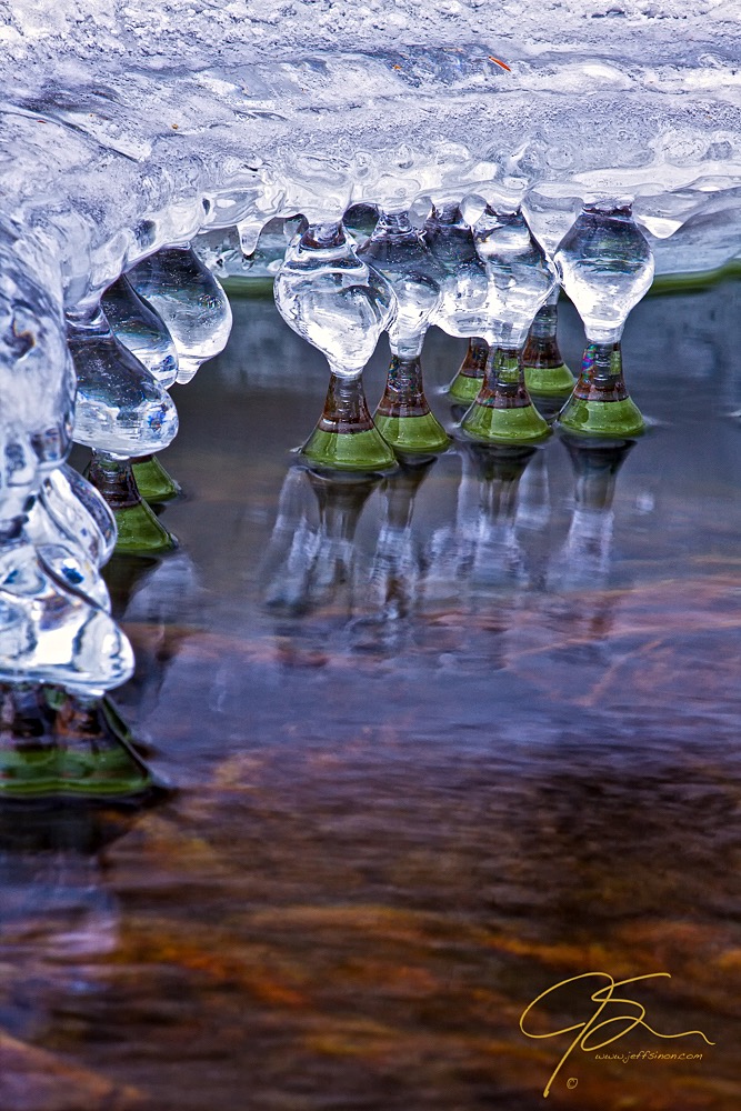 Ice Mushrooms