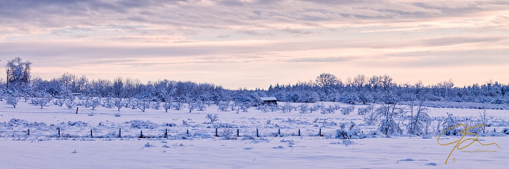 Vickery farm in winter