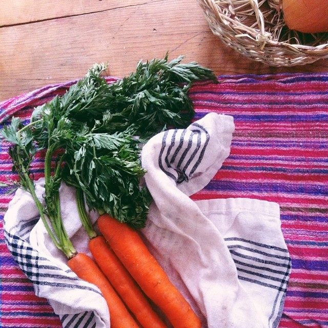 winter carrots