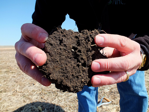 Healthy soil with organic matter