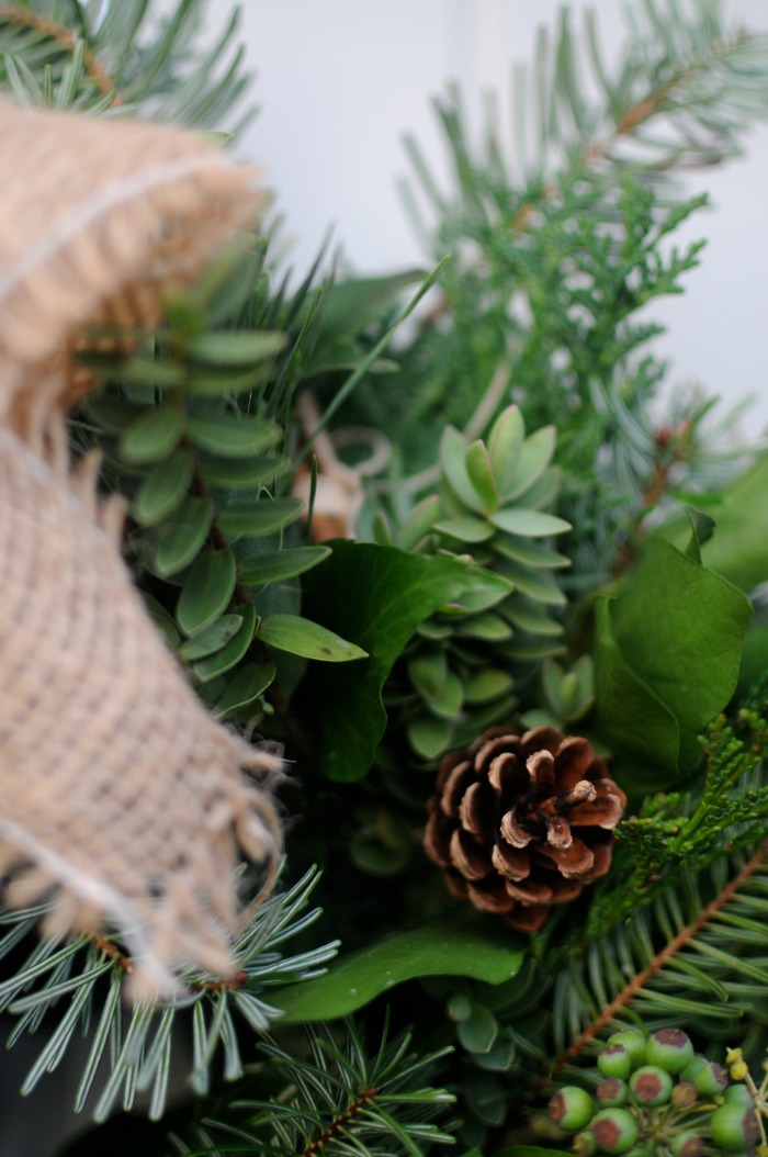 close-up shot of holiday greens