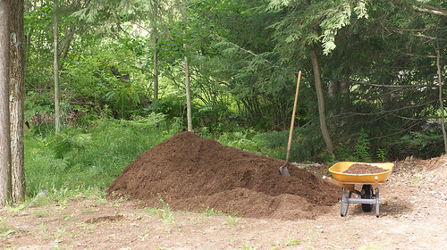 Mulching helps to increase organic matter in soil