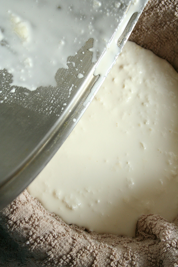 Pour Homemade Cream Cheese Through a Cheesecloth