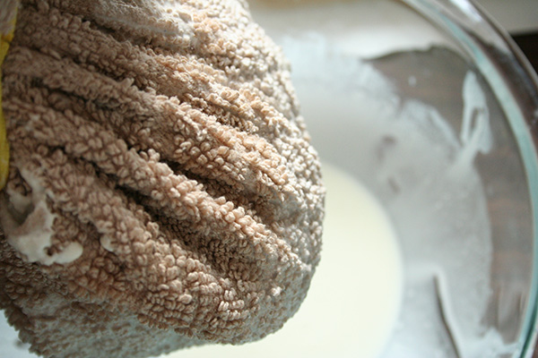 Cream Cheese Dripping from Cheesecloth